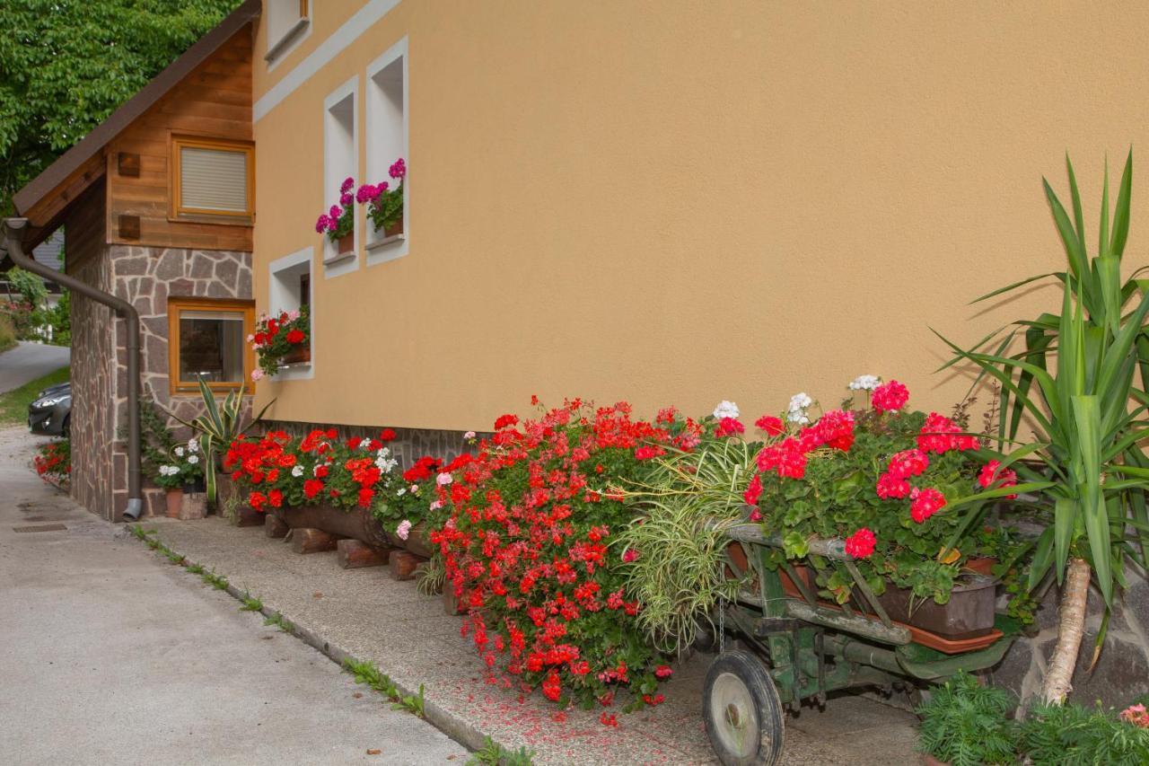 Apartma Erlah Apartment Bohinj ภายนอก รูปภาพ